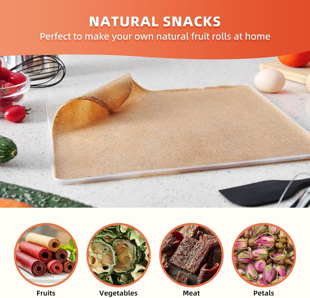 Commercial Large 10 Trays Food Dehydrator, Usable Area up to 17ft², 1000W Detachable Full Stainless Steel Dryer Machine, up to 190℉ Temperature, for Meat, Fruit, Beef, Herbs, and Pet Food